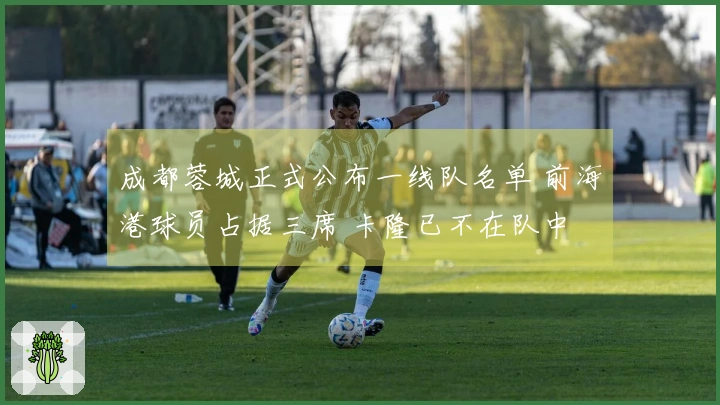 成都蓉城正式公布一线队名单 前海港球员占据三席 卡隆已不在队中