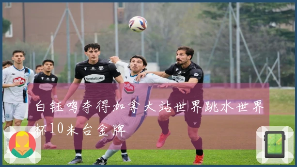 白钰鸣夺得加拿大站世界跳水世界杯10米台金牌